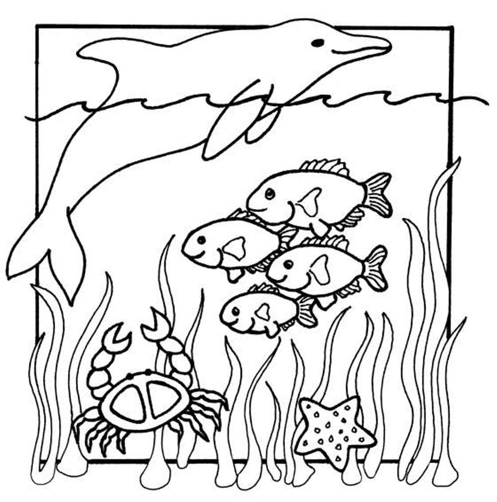 Coloring Pages Free Printable Ocean Life Boy Underwater Preschool ...