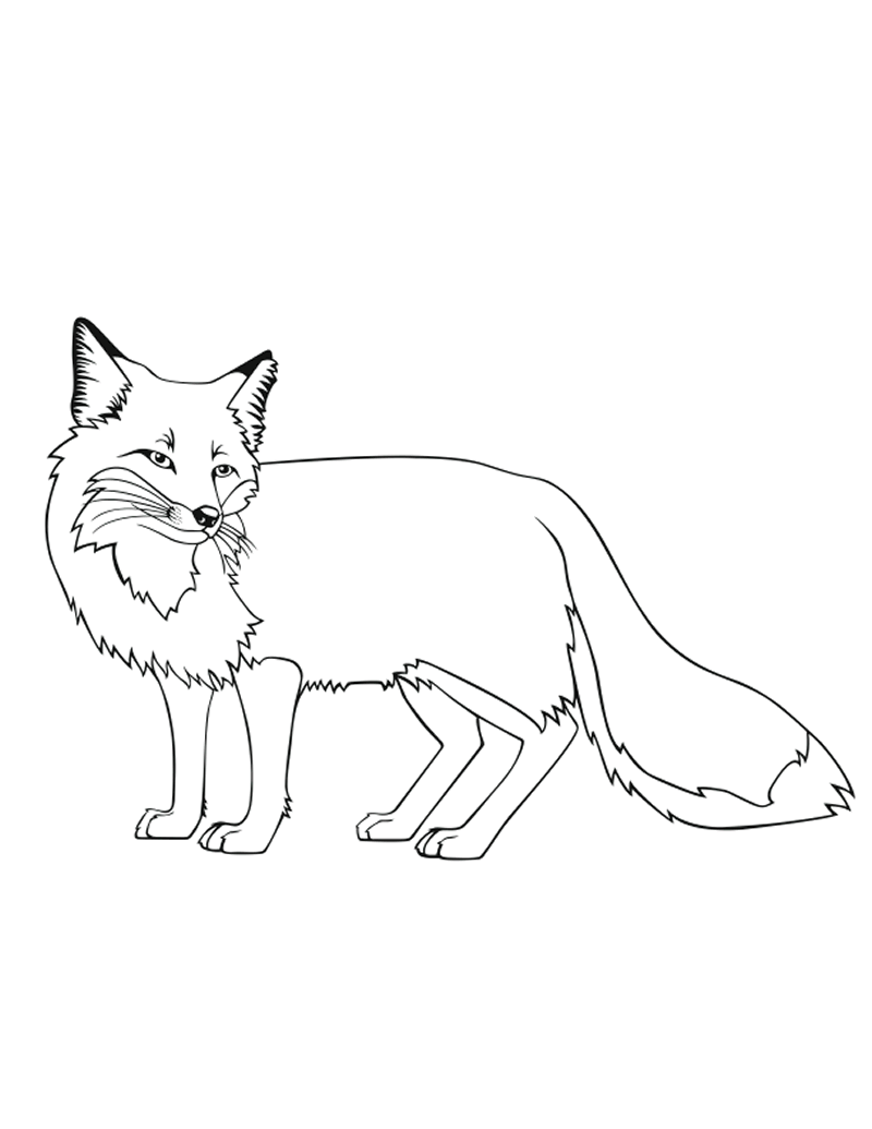 Fox Coloring Pages For Preschoolers | Coloring - Part 2