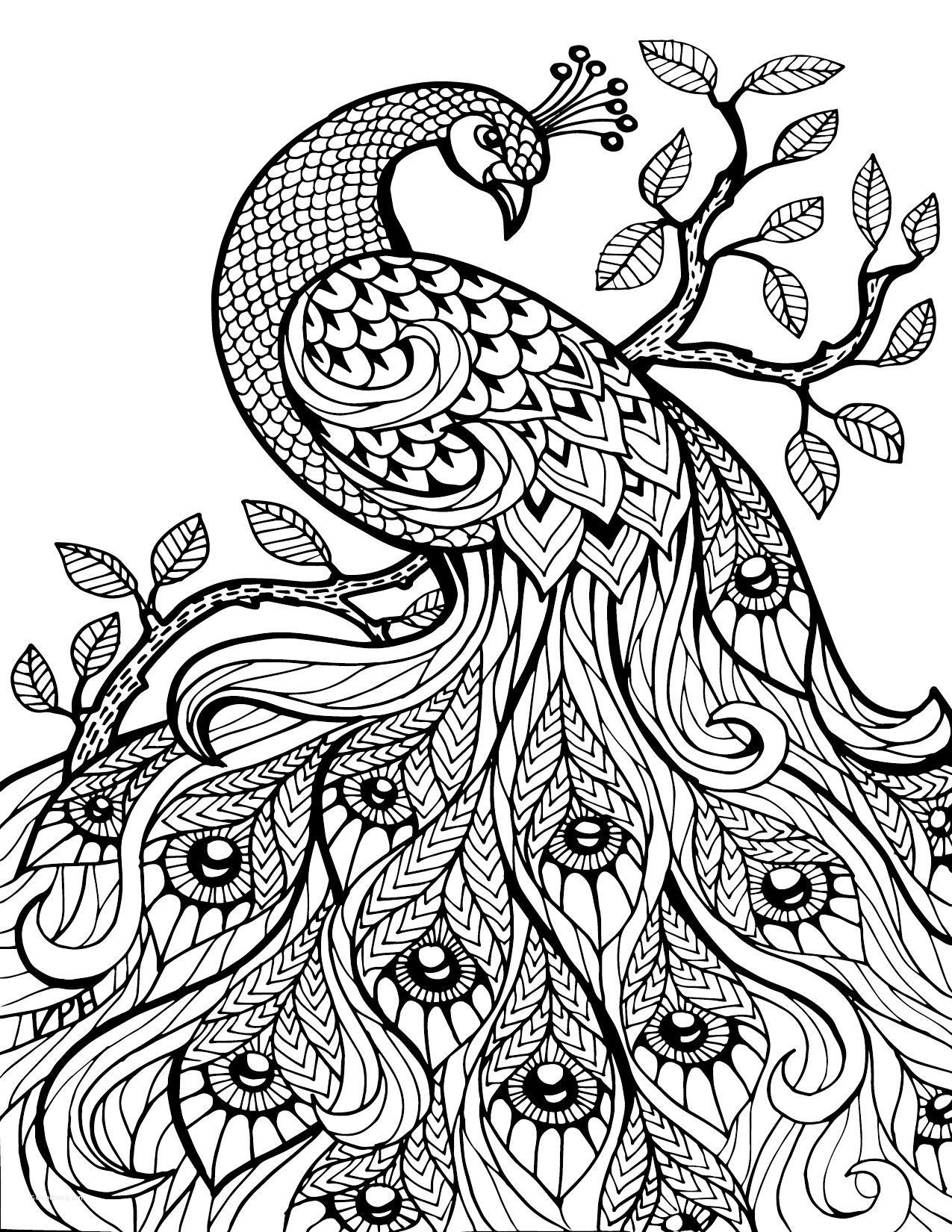 coloring pages : Spectacular Patterns Coloring Book Awesome Cool Coloring  Pages To Color Line For Free For Adults Spectacular Patterns Coloring Book  ~ peak