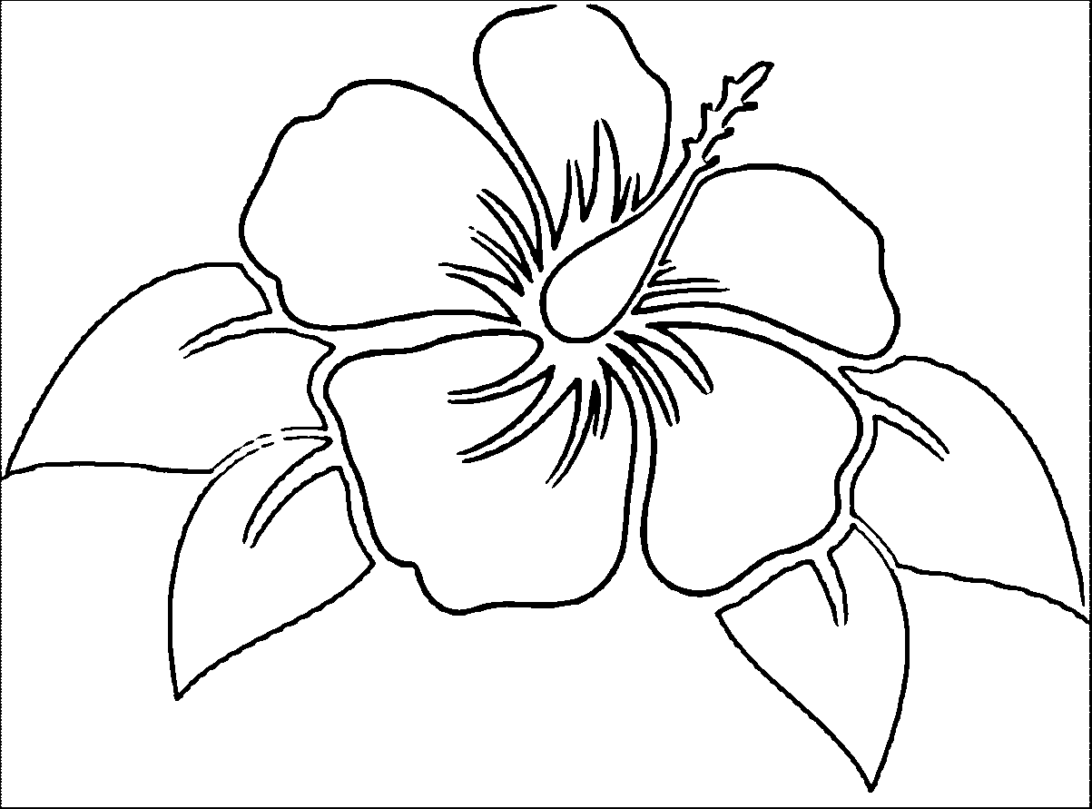 Hibiscus_flower_0 Coloring Page | 