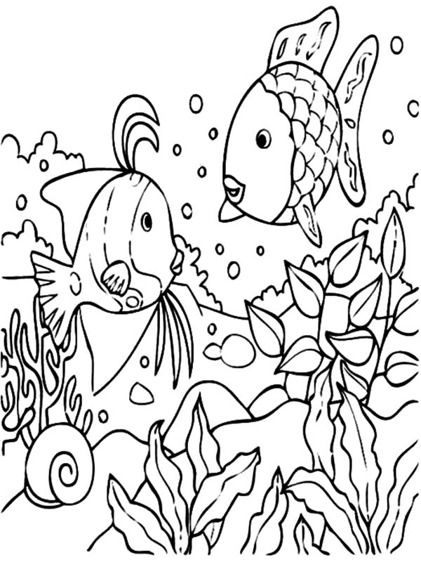 Tropical Fish Coral Reef Coloring Pages: Tropical Fish Coral Reef ...