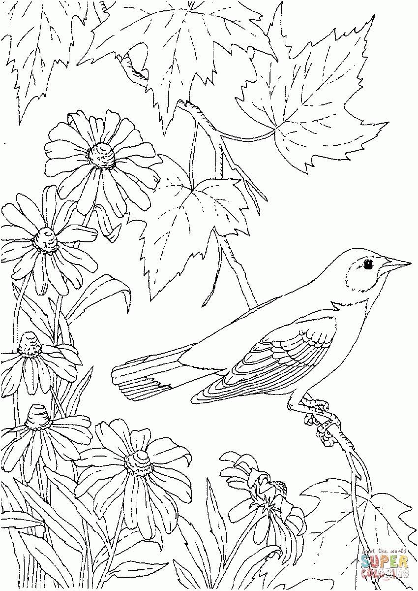 Bird Coloring Pages | Best Coloring Page Site