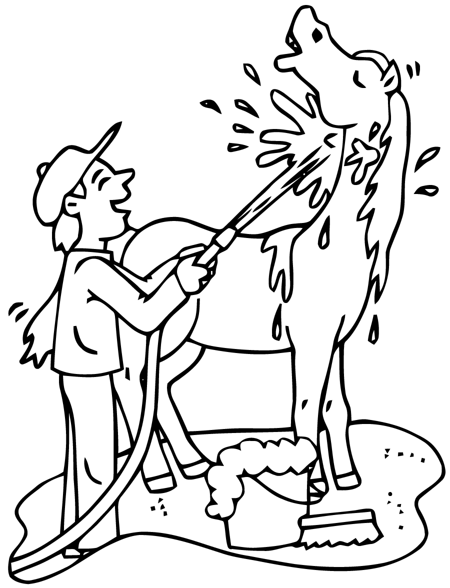 Horse free to color for children : horse being cleaned - Horses Kids Coloring  Pages