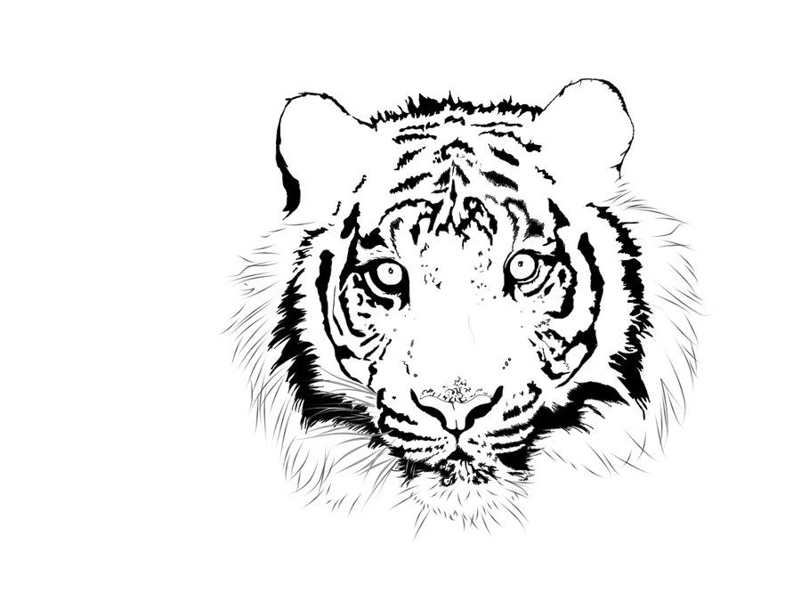 outline tiger by KevinSt00 on DeviantArt