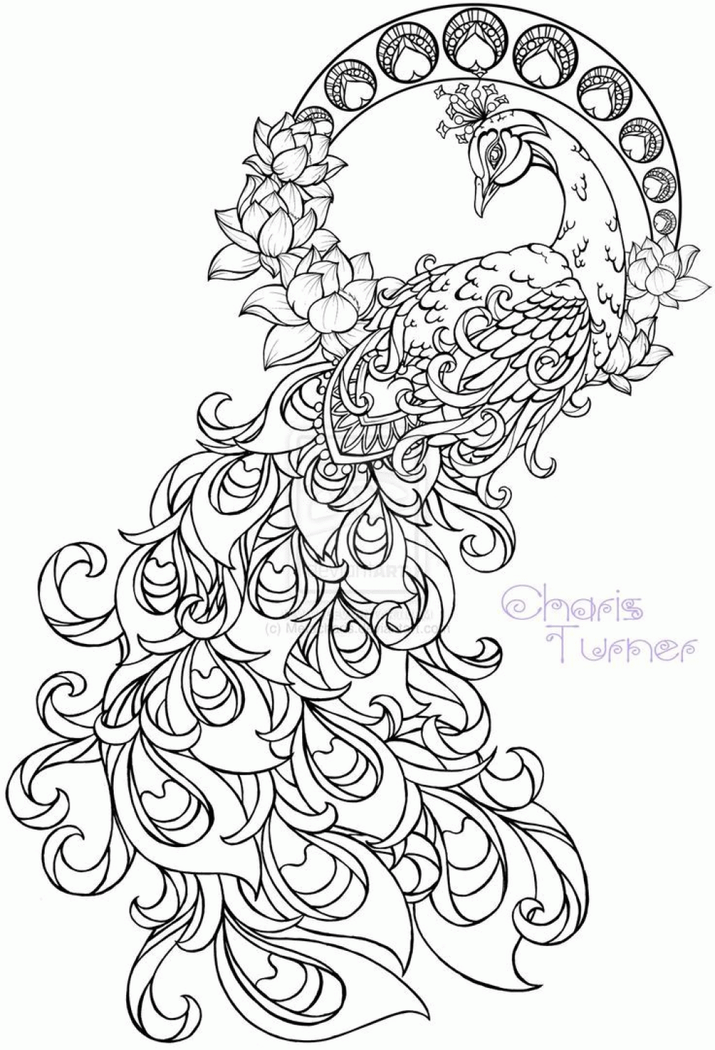Realistic Peacock Coloring Pages Free Coloring Page Printable Free ...