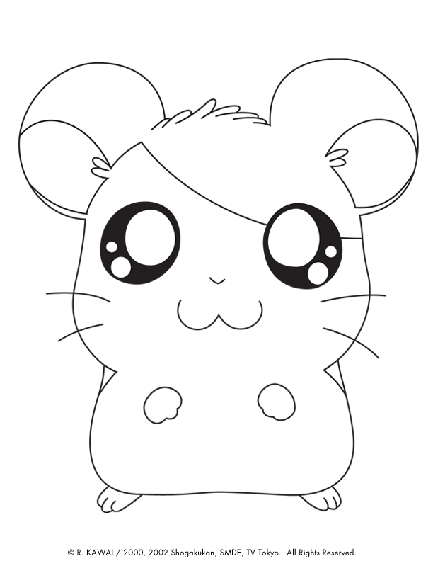 Of Cute Animals - Coloring Pages for Kids and for Adults