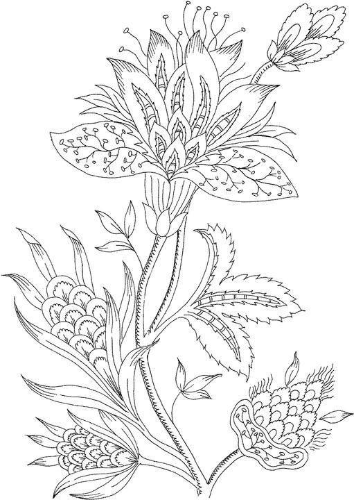 Coloring Flowers - Coloring Pages for Kids and for Adults