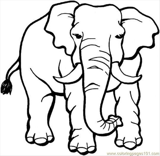 Elephant 18 Coloring Page Coloring Page - Free Elephant Coloring ...