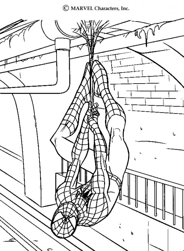 SPIDER-MAN coloring pages - The Amazing Spider Man for kids