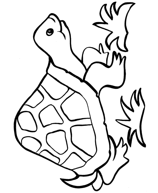 Easy Shapes Coloring Pages | Free Printable Happy Turtle Easy