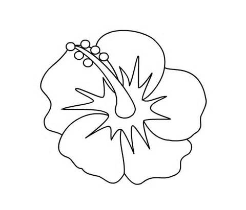 Adult Coloring Page For Hibiscus Flower Coloring Pages