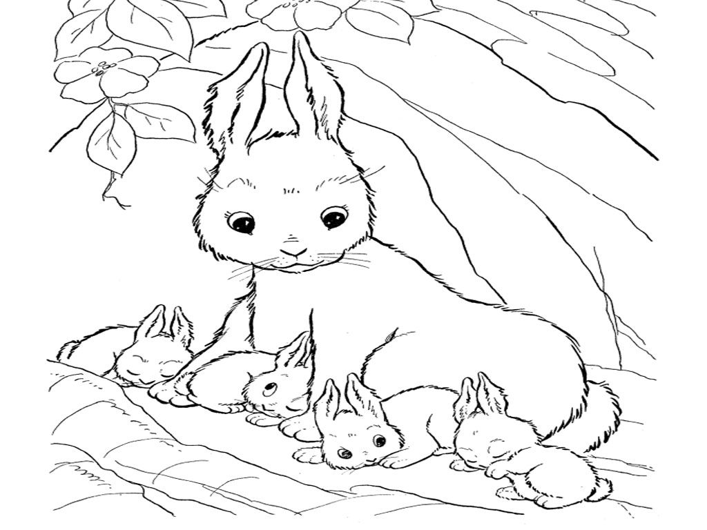 Bunny Coloring Pages (20 Pictures) - Colorine.net | 17764