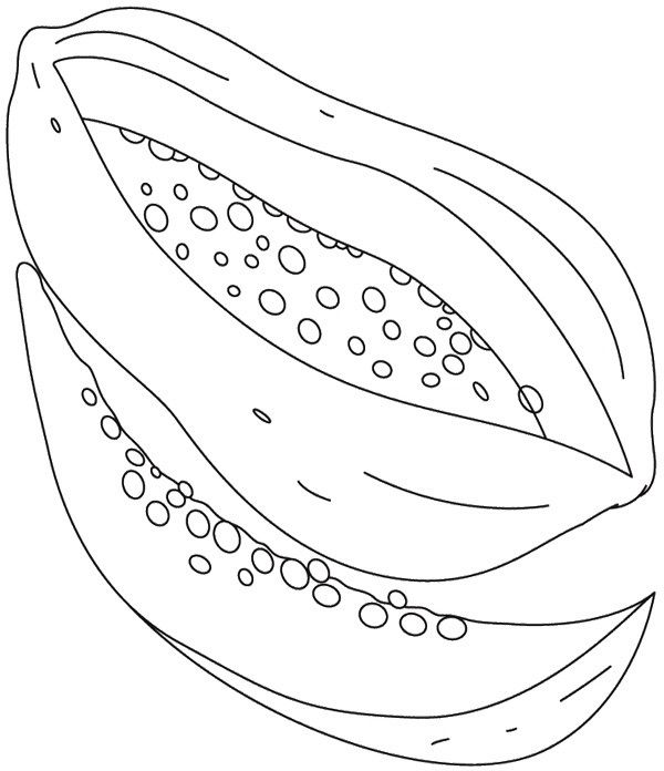 Slice Papaya Coloring Page | Coloring pages, Color, Coloring pages ...