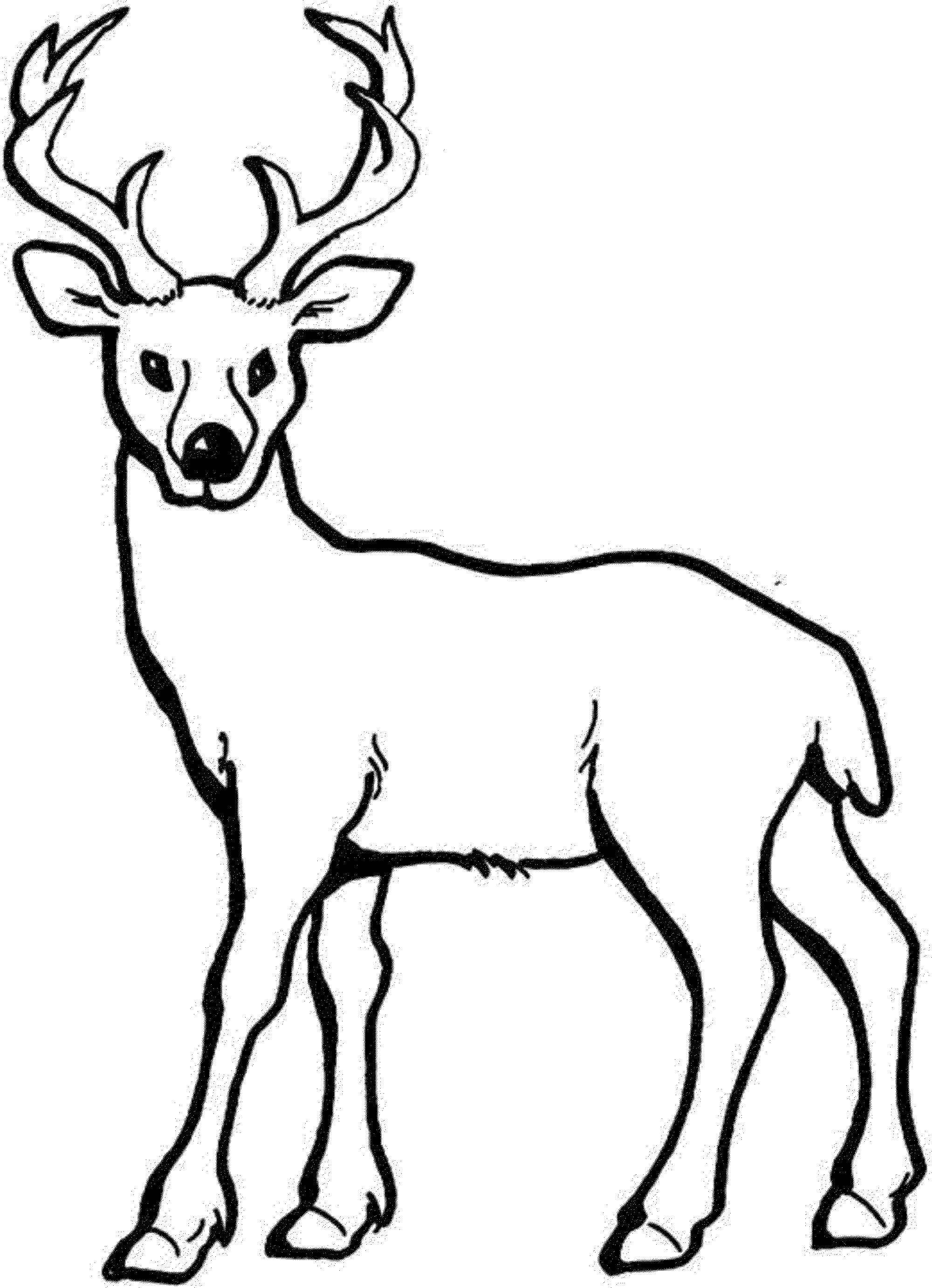 9 Pics of Deer In Forest Coloring Pages - Deer Coloring Pages ...