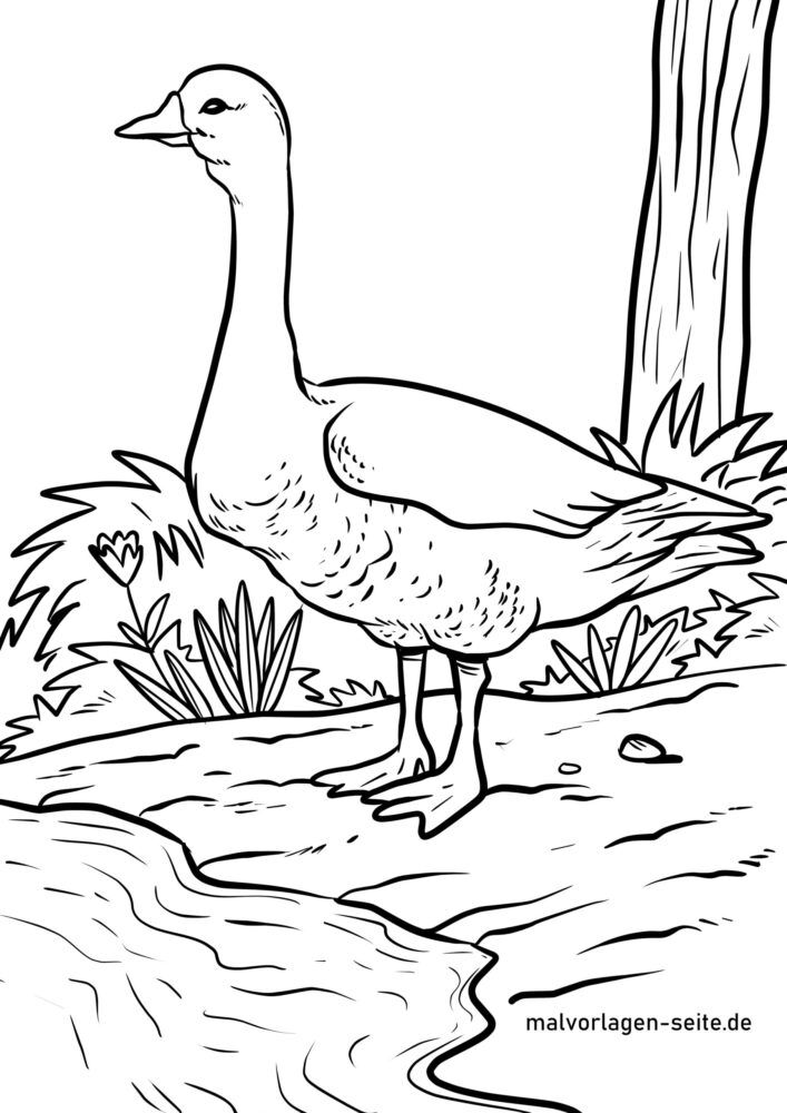 Coloring page goose | Geese Birds - Free Coloring Pages
