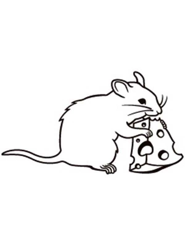 Mouse and Rat Eating Cheese Coloring Pages | Bulk Color