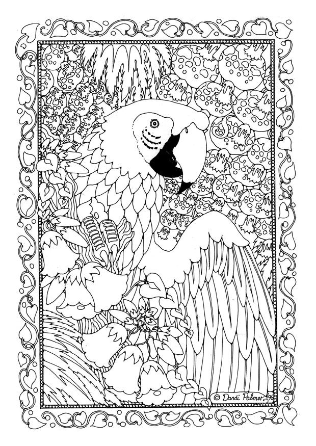 Advanced Adult Coloring Book Page
