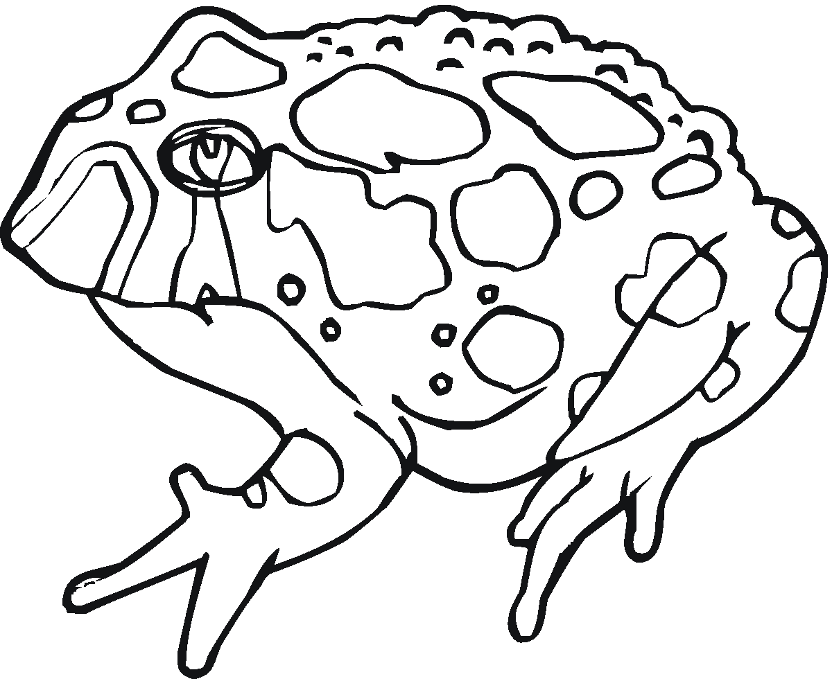 Toad Coloring Pages Mario - Coloring Page