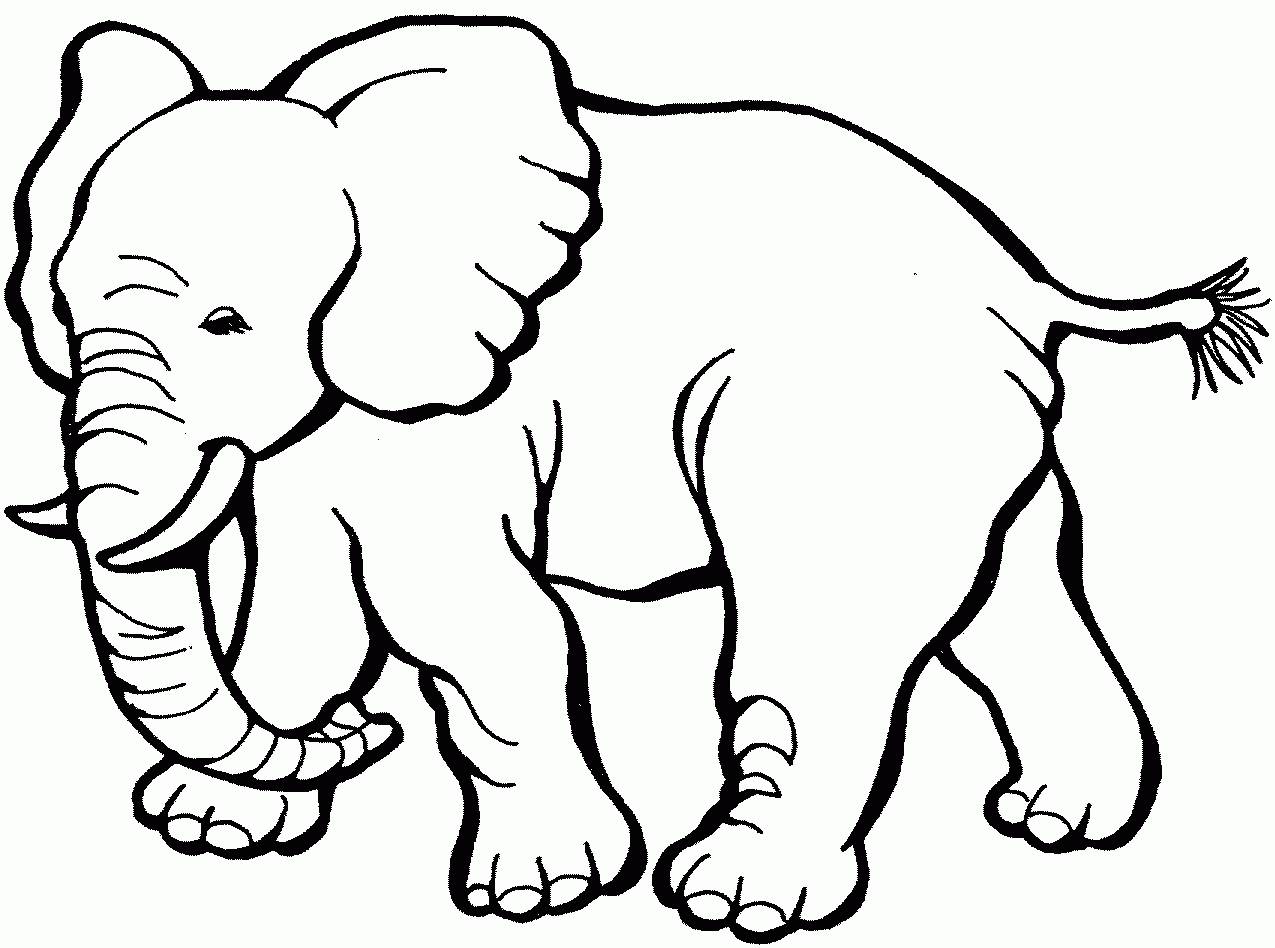 Top animal coloring pages for kids to print out | Kids Activities