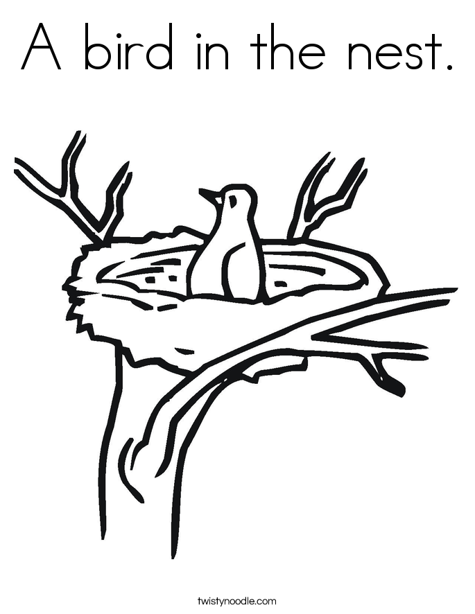 A bird in the nest Coloring Page - Twisty Noodle