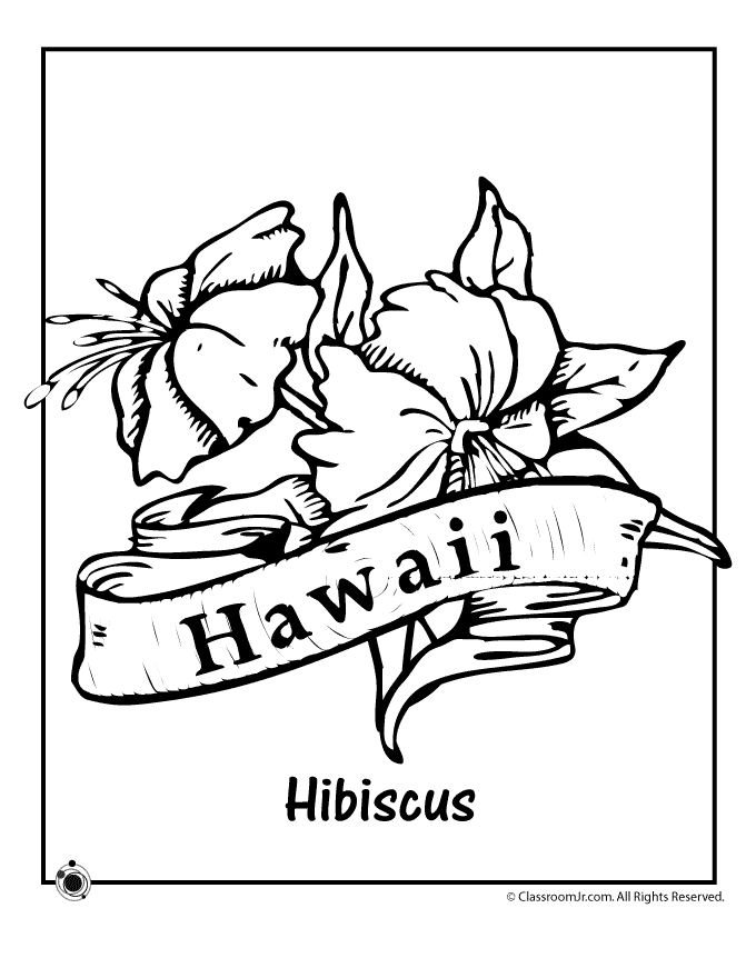 Hawaii State Flower Coloring Page | Classroom Jr.
