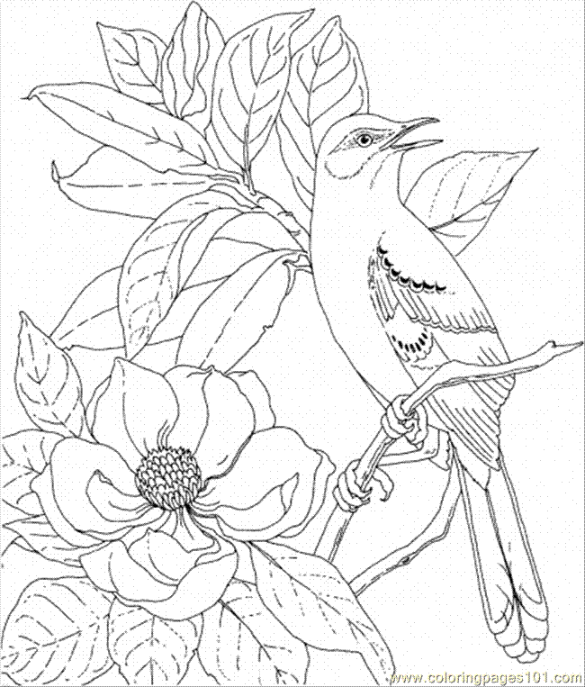 Coloring Pages Magnolia And Bird (Natural World > Flowers) - free