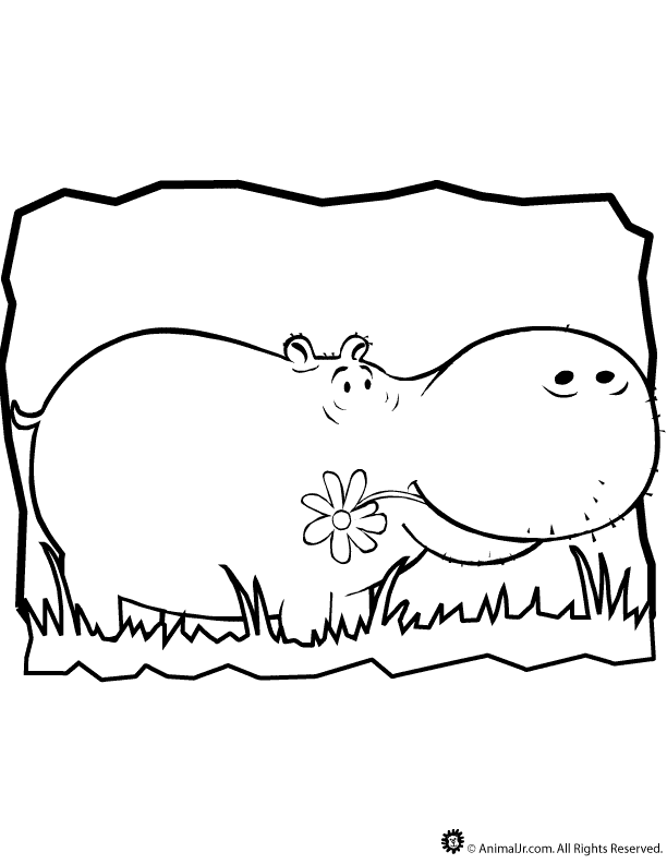 Hippopotamus-coloring-pictures-11 | Free Coloring Page Site