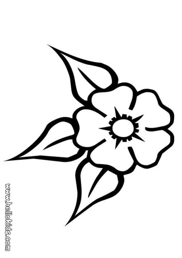 FLOWER coloring pages - Orchid