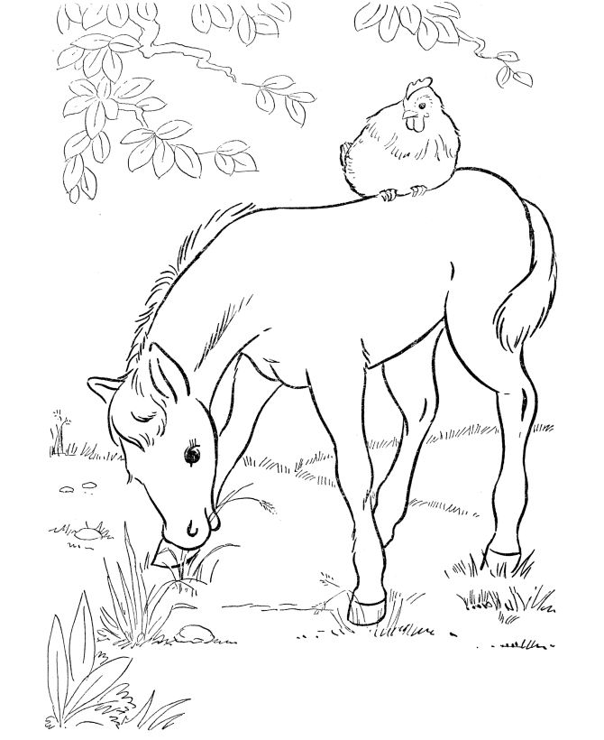 number coloring pages page