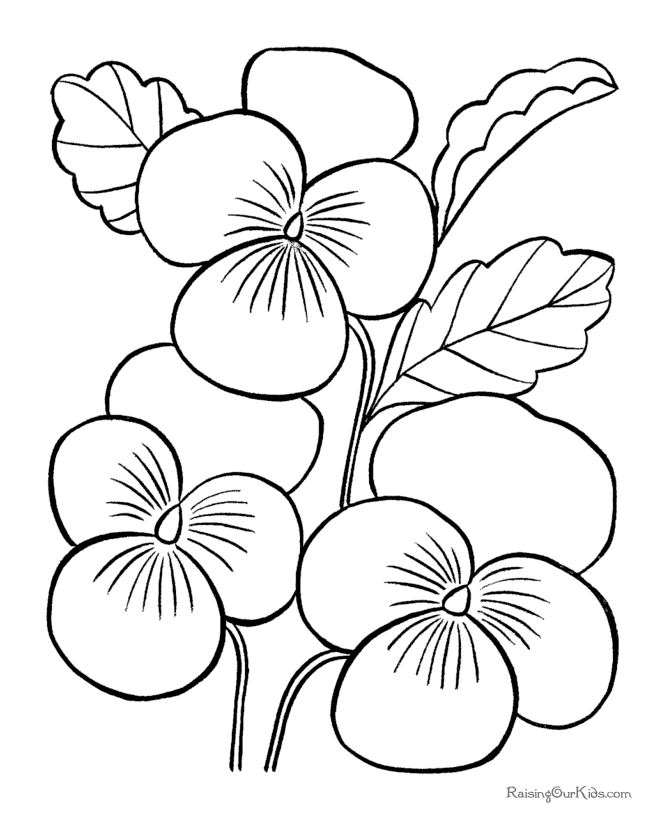 Flowers Coloring Pages For Kids – 921×990 Coloring picture animal