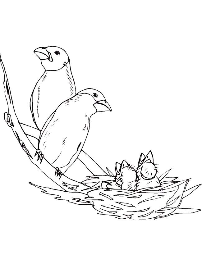 Birds-Nest-Coloring-Page-for-kids-128 | COLORING WS