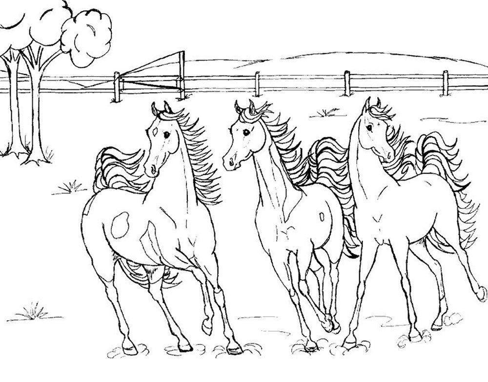 horses 1 horse coloring pages | Printable Coloring