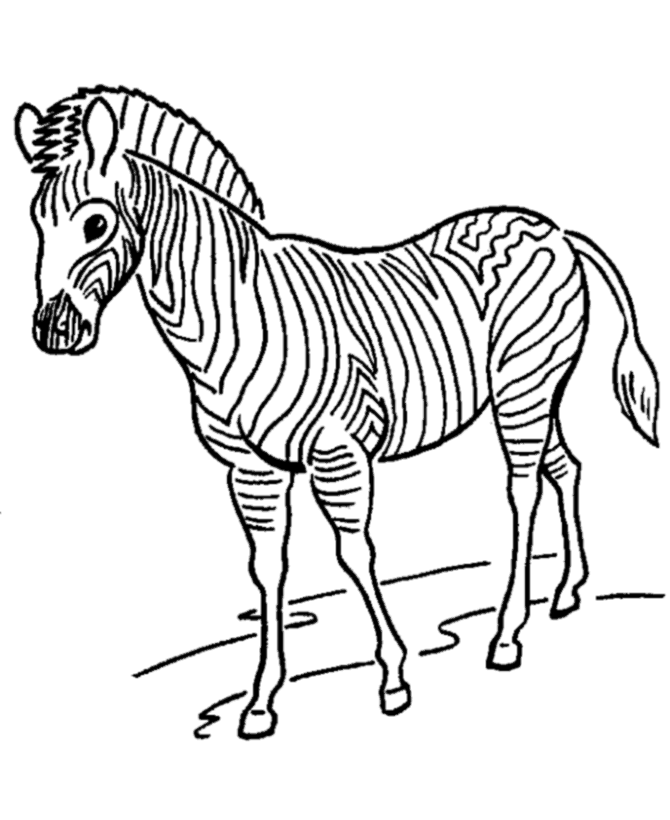 zoo animal coloring pages | Zebra coloring pages | Color Printing