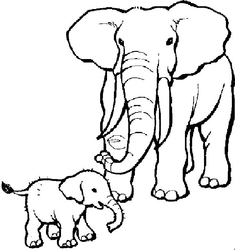 Elephants | Free Printable Coloring Pages – Coloringpagesfun.com