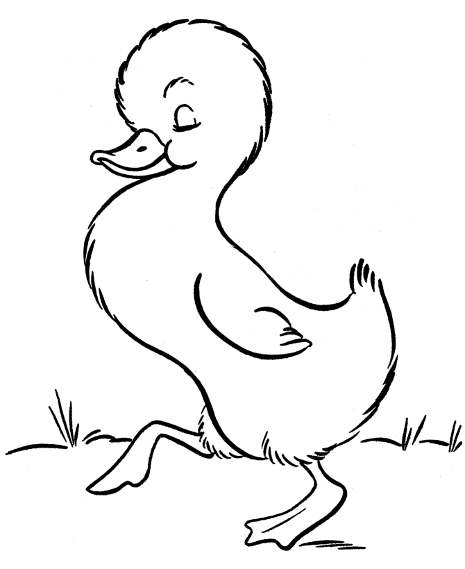 Lucky Ducky Coloring Pages