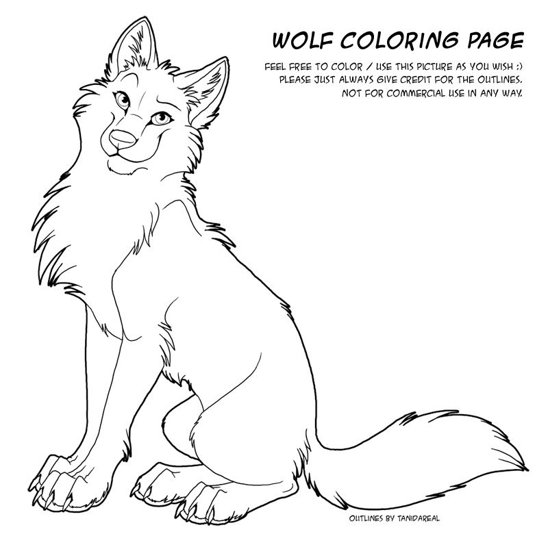 wolves | Coloring pages, Animal ...