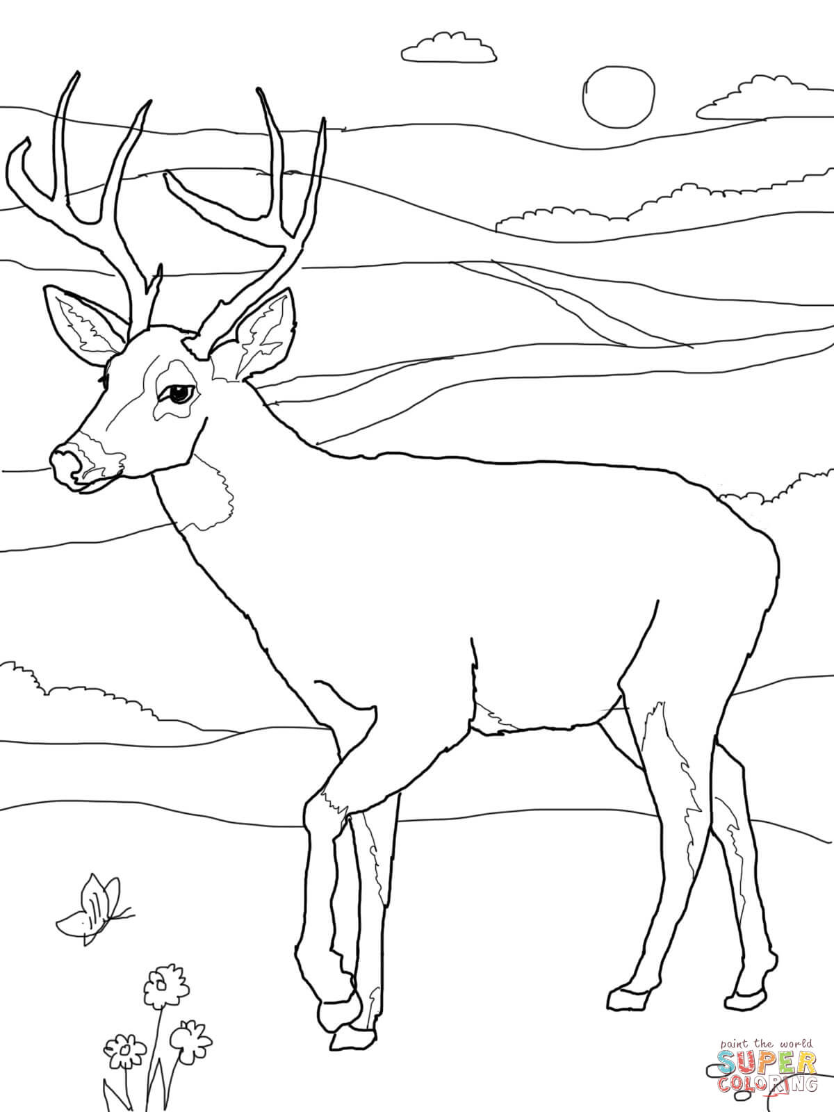 White-tailed deers coloring pages | Free Coloring Pages