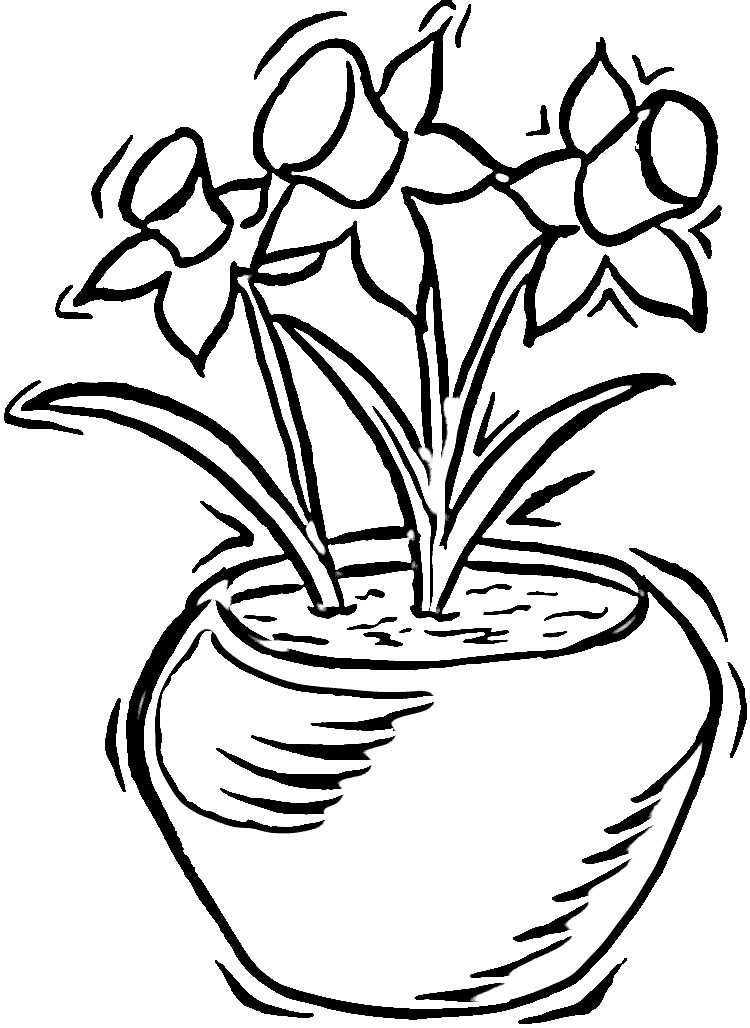 Daffodil Coloring Pages - Best Coloring Pages For Kids