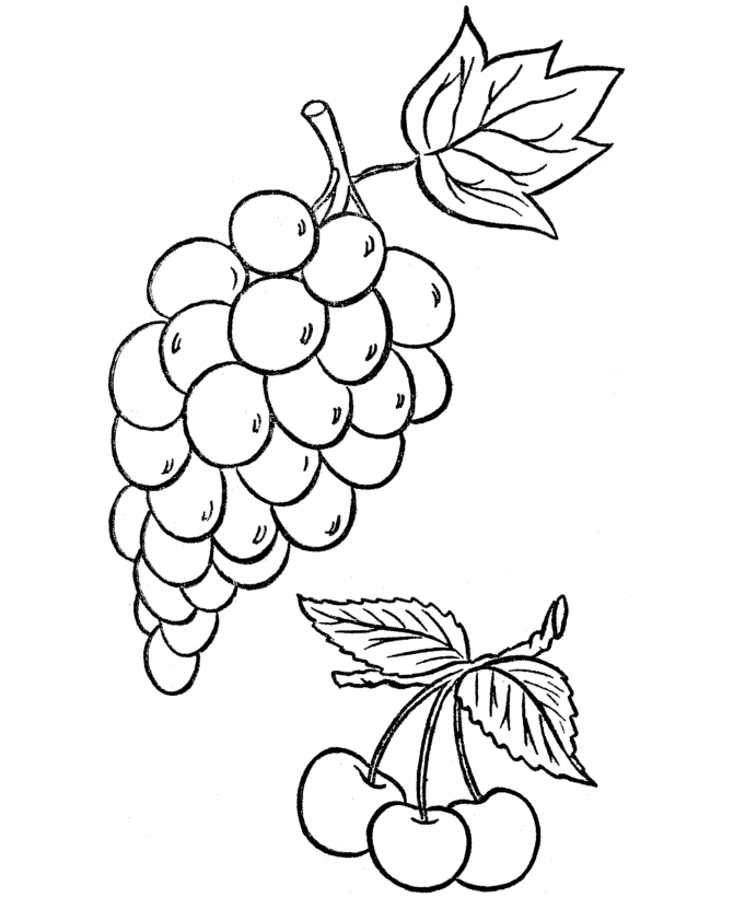 grapes on a vine Colouring Pages