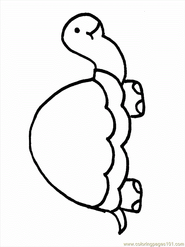 Coloring Pages Turtle Coloring Pages 06 (Reptile > Turtle) - free