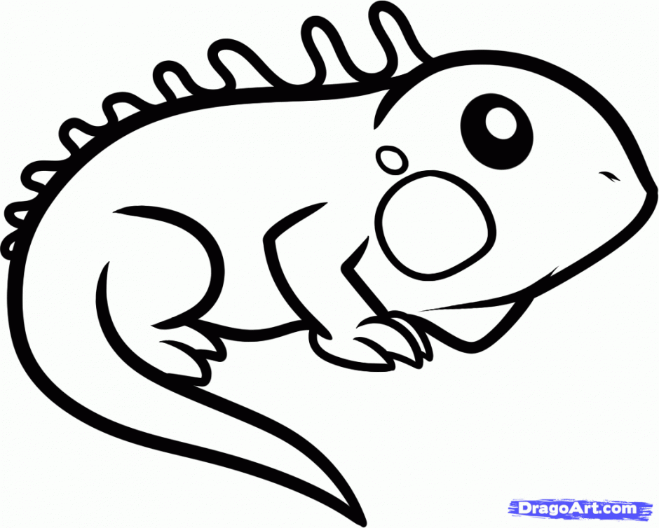 How To Draw An Iguana For Kids Step 6 Drawing And Coloring For
