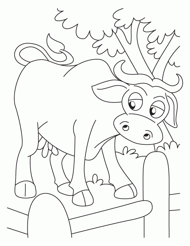 Buffalo in fence coloring pages | Download Free Buffalo in fence