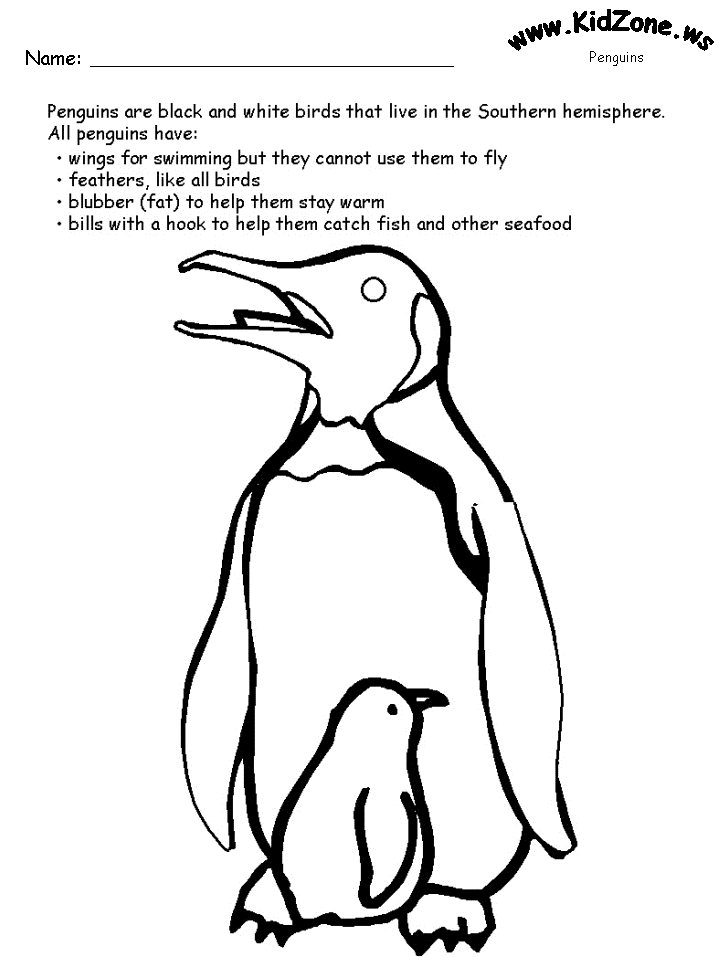 Penguin Facts Coloring Book Page