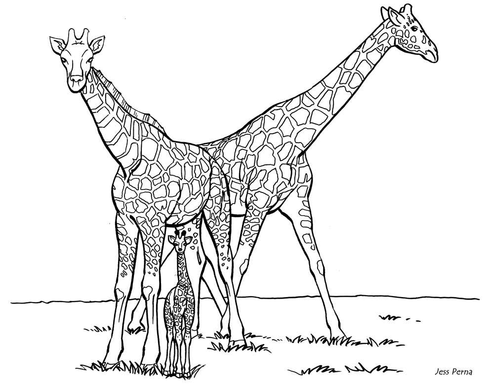 Family Giraffe - Giraffe Coloring Pages : Coloring Pages for Kids