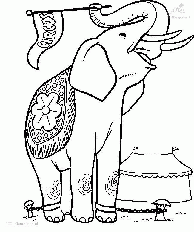 Christmas Animals Coloring Page Baby Elephant With Holly