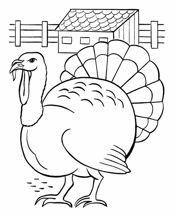 Thanksgiving Day Coloring Page Sheets - Turkey in farmyard - easy