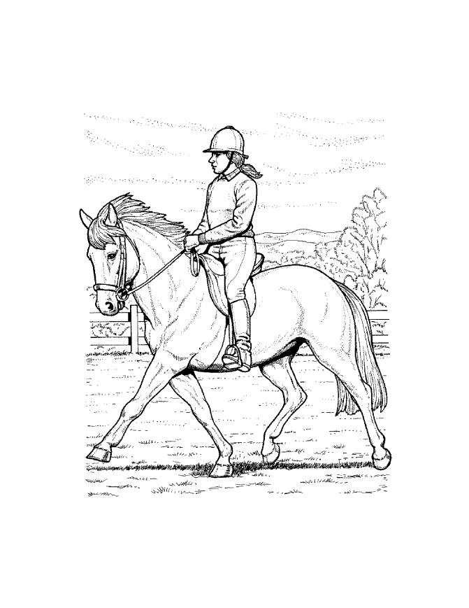 Coloring Pages: Horse Coloring Pages