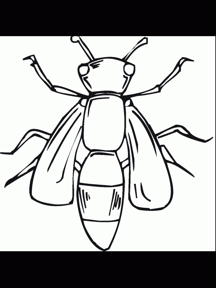 Bug Coloring Pages Picture | 99coloring.com