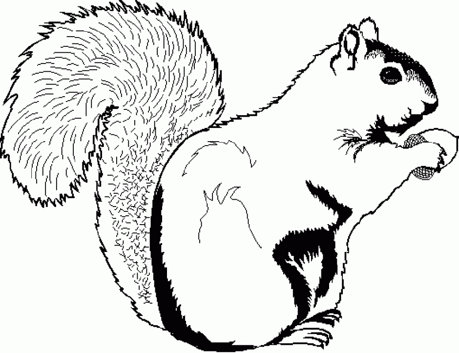 Cartoon Clipart Of An Outlined Cute Sleeping Chipmunk Black And