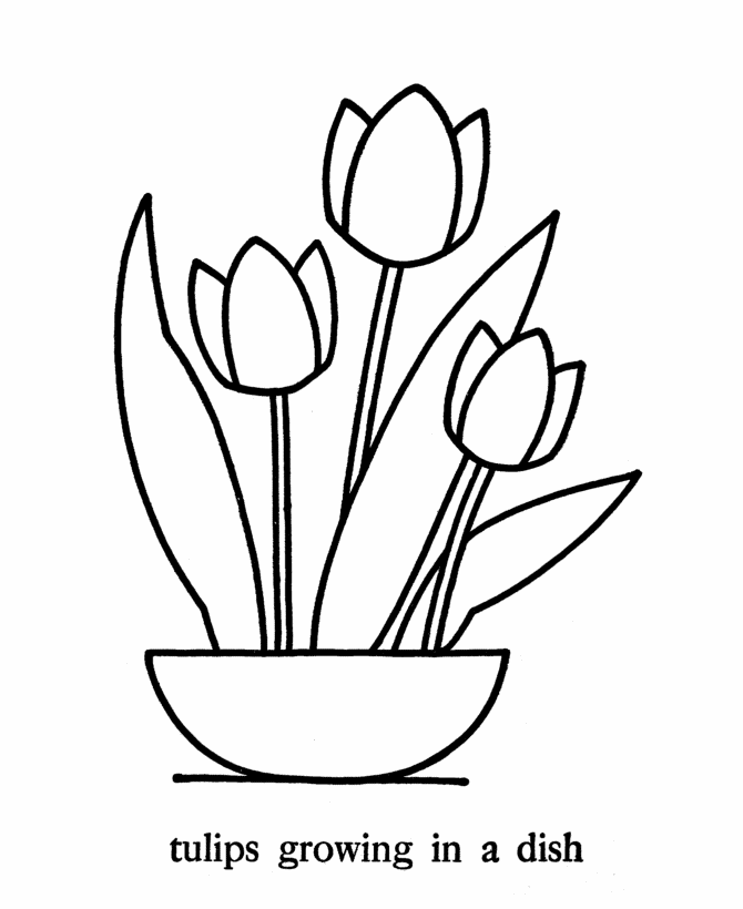 Flower Simple Coloring Page